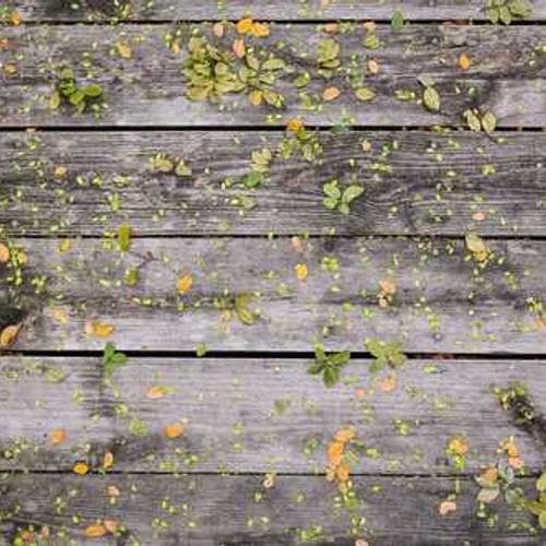 React Native, Mobile App Development